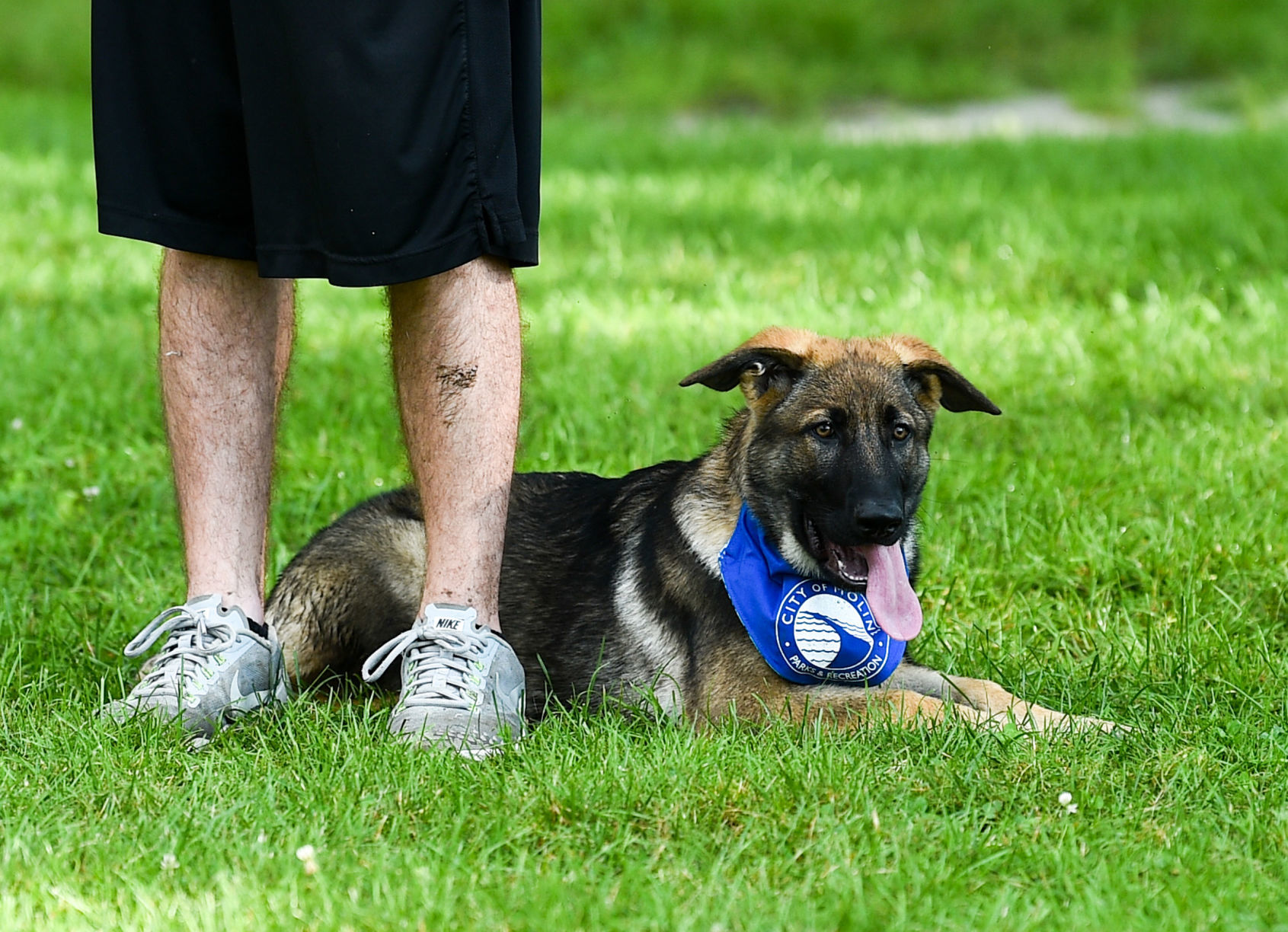 071019-mda-nws-dogpark-023a.JPG